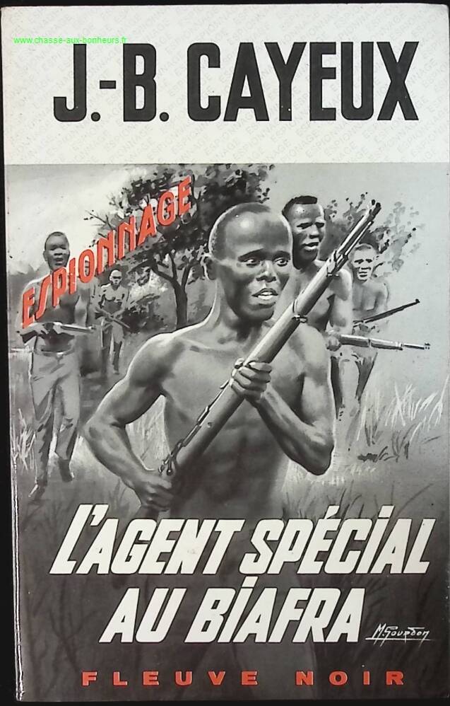 Der Spezialagent in Biafra - JB Cayeux - Buch