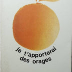 Je t'apporterai des orages - Geneviève Dormann - livre