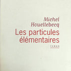 Die Elementarteilchen - Michel Houellebecq - Buch