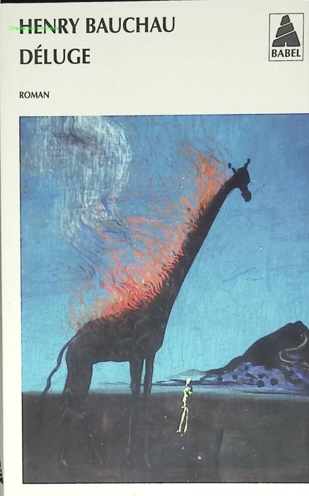 Déluge - Henry Bauchau - livre