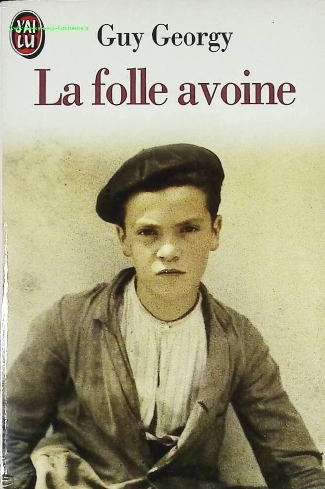 Wild Oats - Guy Georgy - book