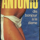 Sag Hallo zur Dame - San Antonio - Buch
