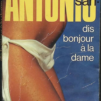 Sag Hallo zur Dame - San Antonio - Buch