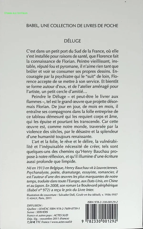 Déluge - Henry Bauchau - livre