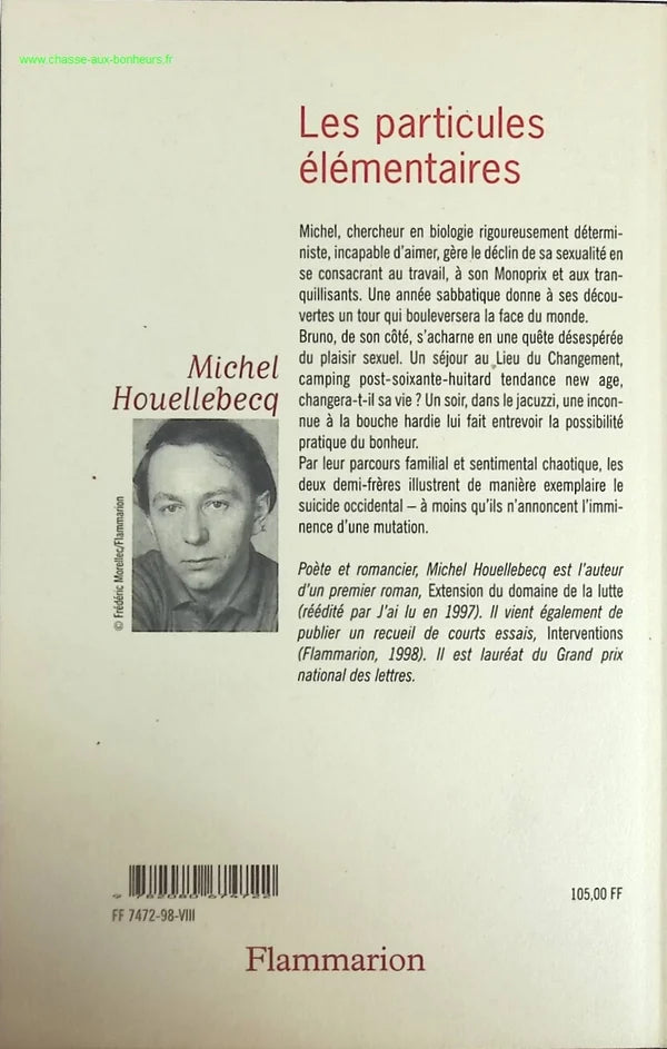 The Elementary Particles - Michel Houellebecq - book