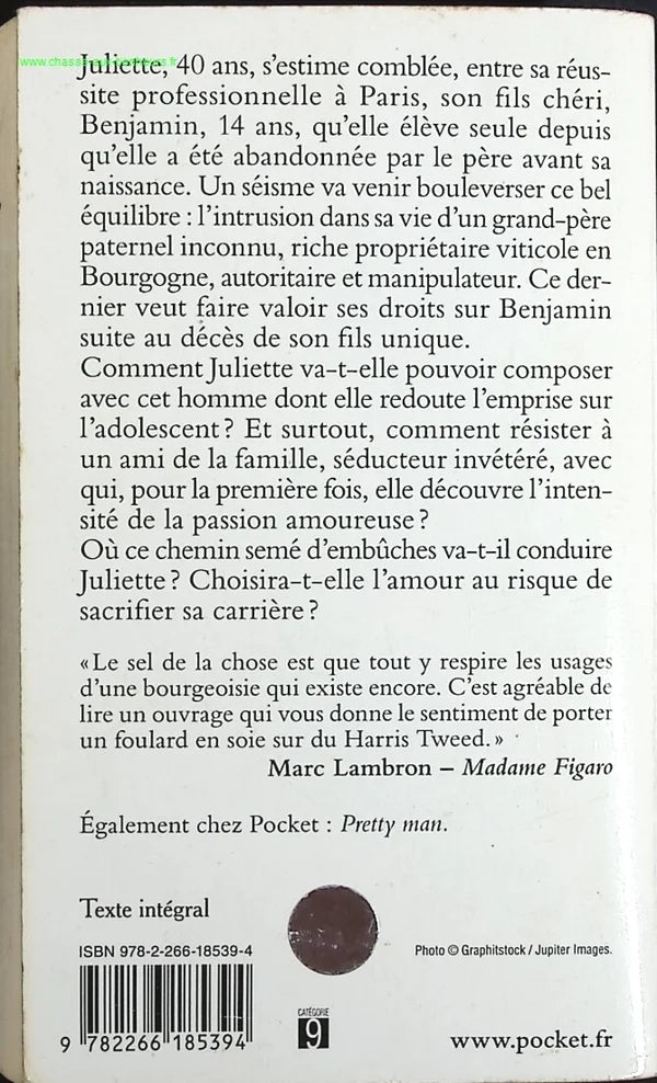 Vivement Demain - Ariel Ricaud - book