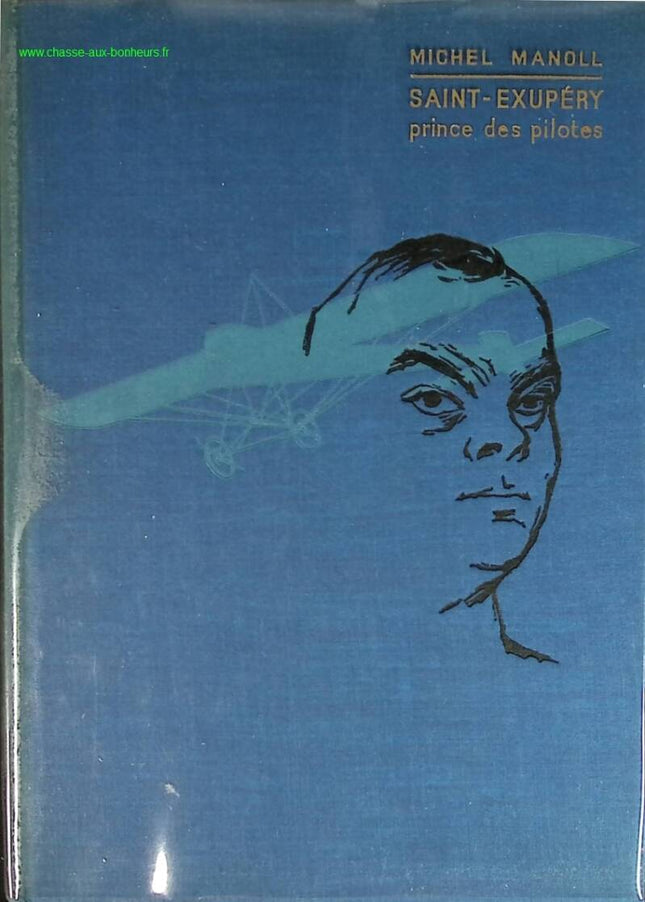 Saint Exupéry prince des pilotes - Michel Manoll - livre