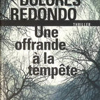 Ein Opfer für den Sturm - Dolores Redondo - Buch