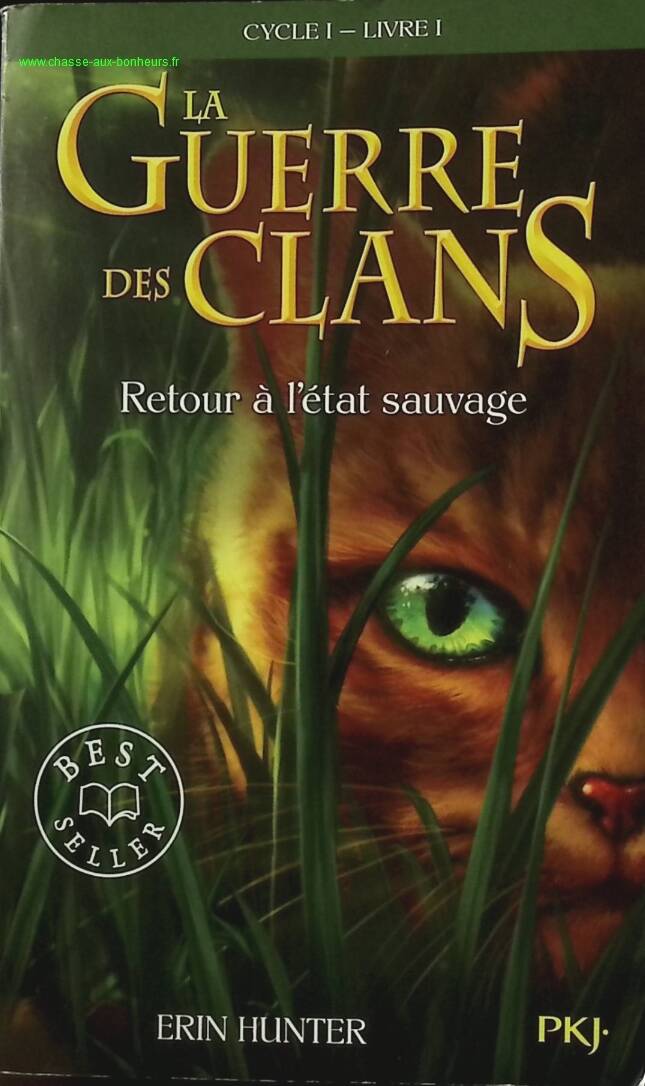 La Guerre des Clans – Cycle 1 Tome 1 : Retour à l'état sauvage – Erin Hunter – Roman jeunesse fantasy chats sauvages - livre