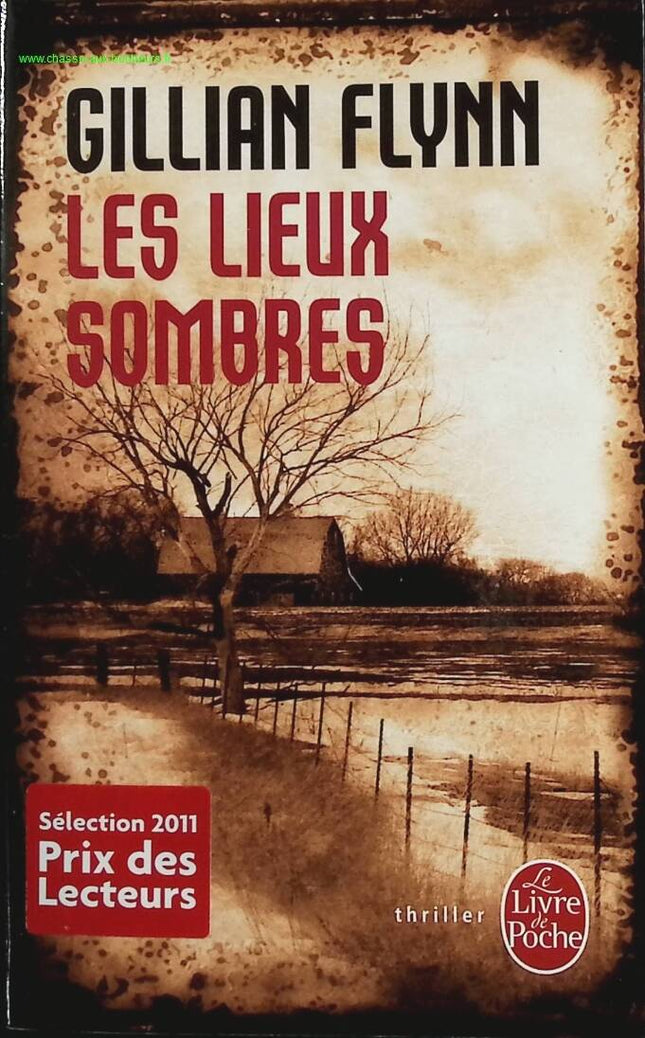 Les Lieux sombres - Gillian Flynn - livre