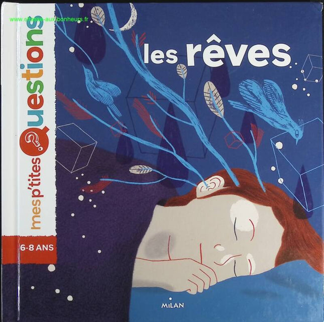 Les rêves - Astrid Dumontet, Violaine Leroy - livre