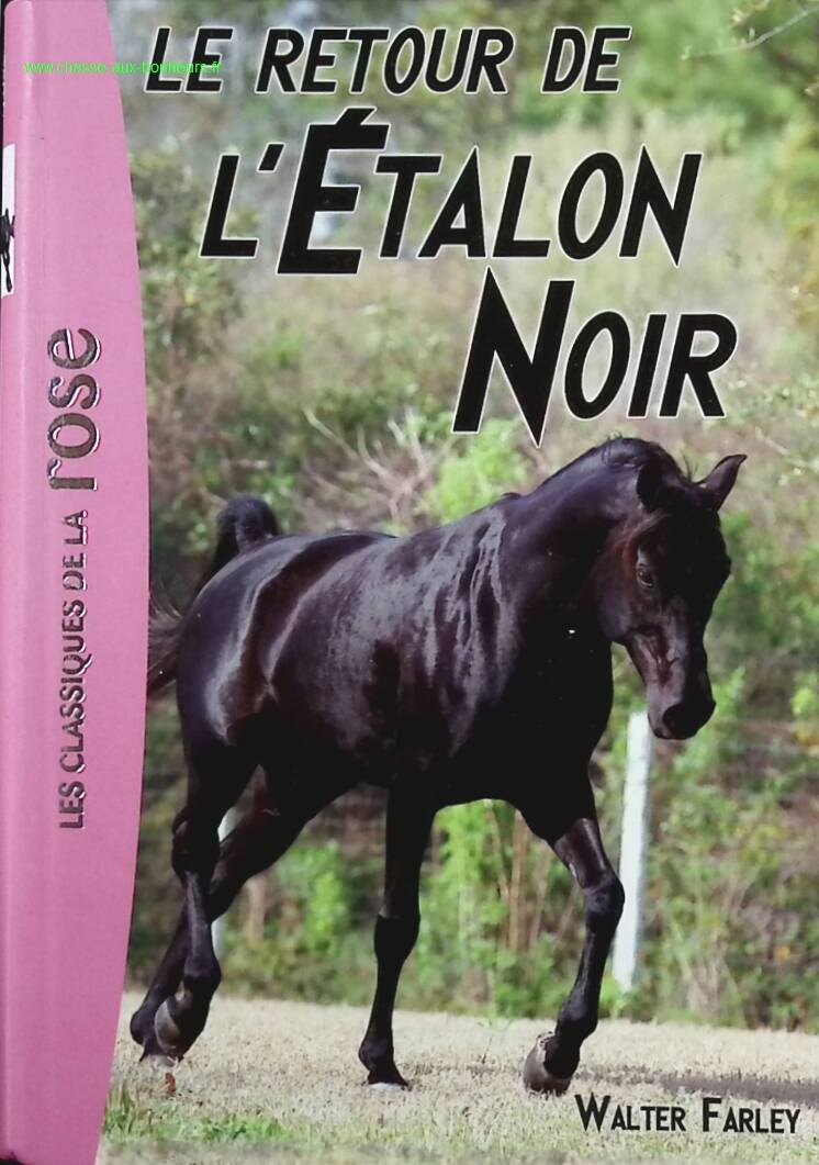 The Black Stallion - Volume 2 - The Return of the Black Stallion - Walter Farley - book