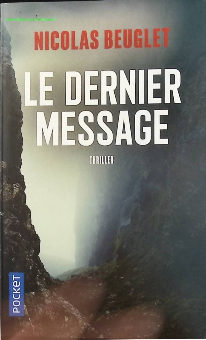 The Last Message - Nicolas Beuglet - Book