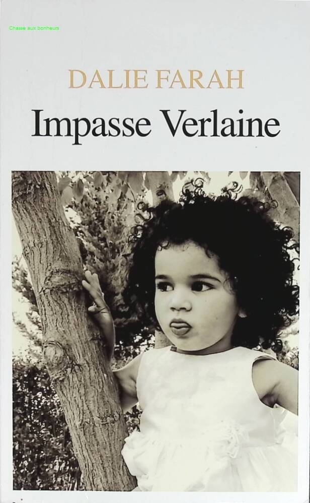 Impasse Verlaine - Dalie Farah - book