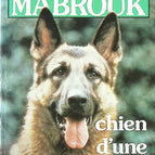 Bon état