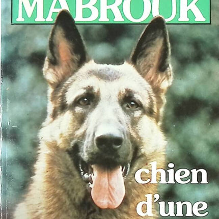 Mabrouk Chien D'Une Vie - Jean-Pierre Hutin - livre