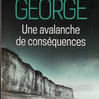 An Avalanche of Consequences - Elizabeth George - book