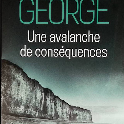 An Avalanche of Consequences - Elizabeth George - book