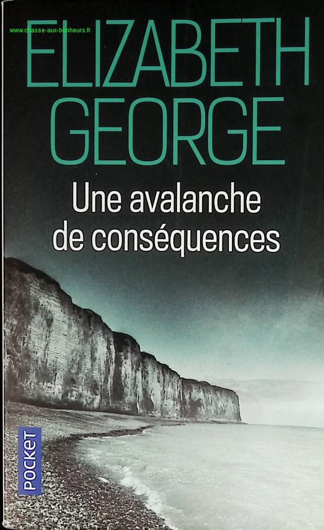 Eine Lawine von Konsequenzen - Elizabeth George - Buch