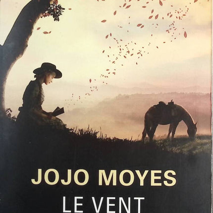 The Wind Will Carry Us - Moyes Jojo - Book