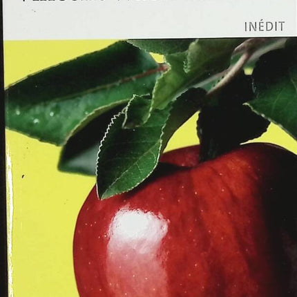 Ein kleines Lob zum ersten Mal - Vincent Wackenheim - Buch