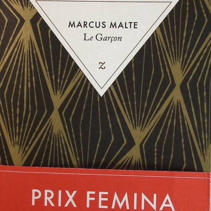 Le Garçon - Marcus Malte - livre