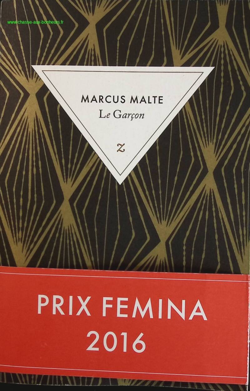 The Boy - Marcus Malte - book