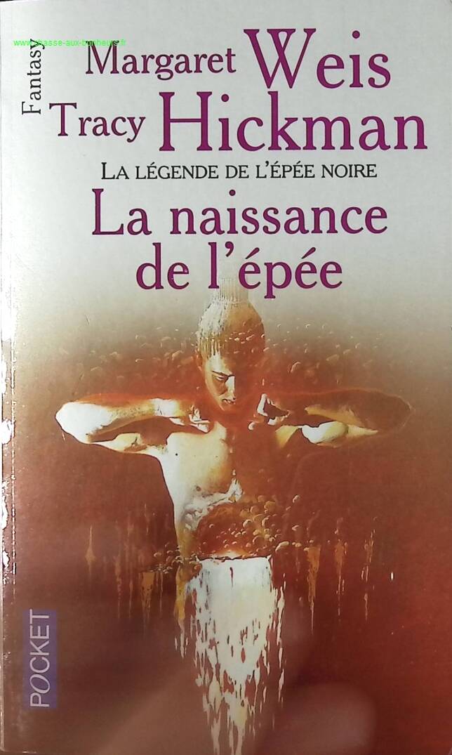 The Birth of the Sword Volume 1 - Margaret Weis - book