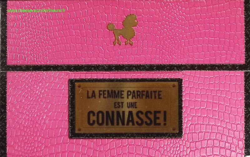 The Perfect Woman Is a Bitch - Anne-Sophie Girard, Marie-Aldine Girard - Book