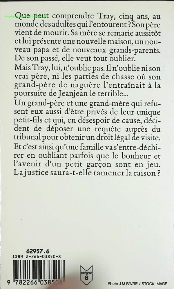 The Twilight Child - Warren Adler - book