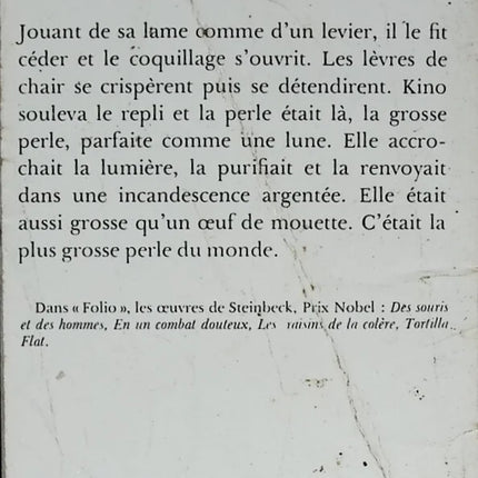 Die Perle - Steinbeck - Buch