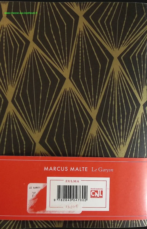 The Boy - Marcus Malte - book