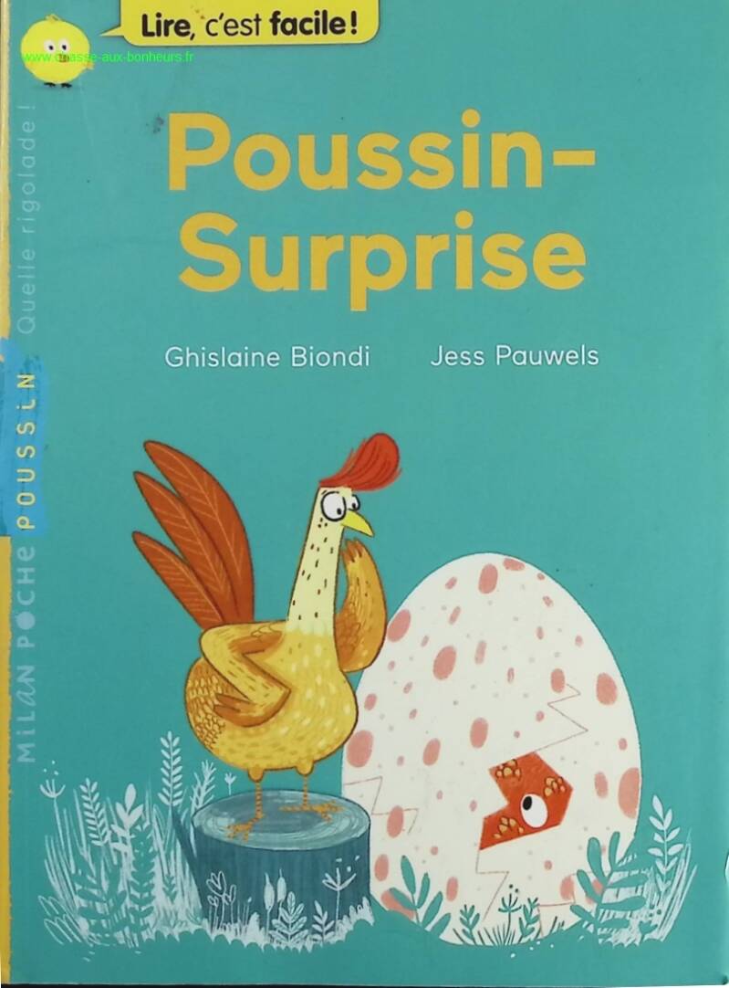 Surprise Chick - Ghislaine Biondi, Jess Pauwels - book