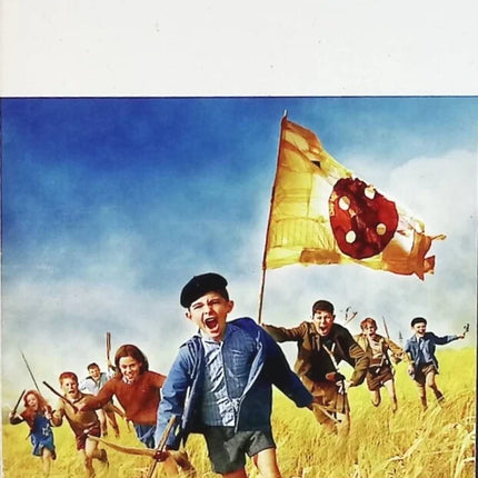 Roman La Guerre des boutons Louis Pergaud littérature classique jeunesse rivalités enfance village occasion - livre