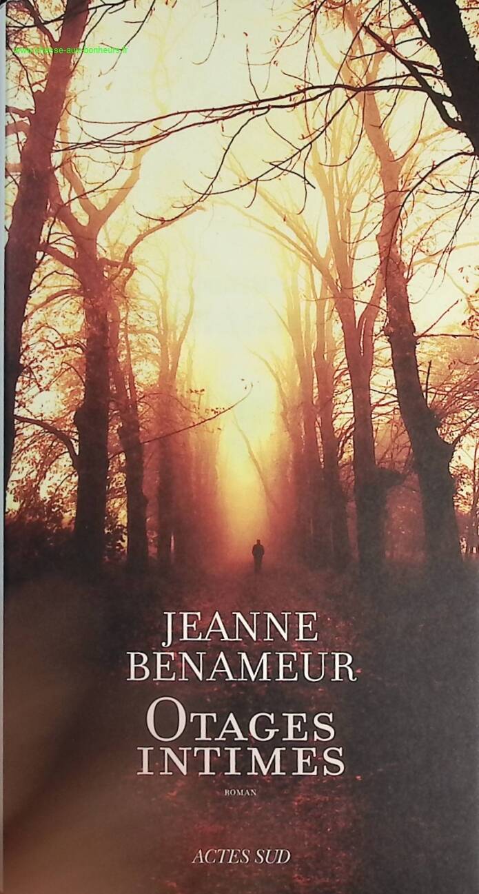 Intimate Hostages - Jeanne Benameur - Book