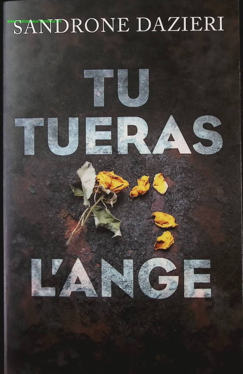 You will kill the angel - Sandrone Dazieri - Book