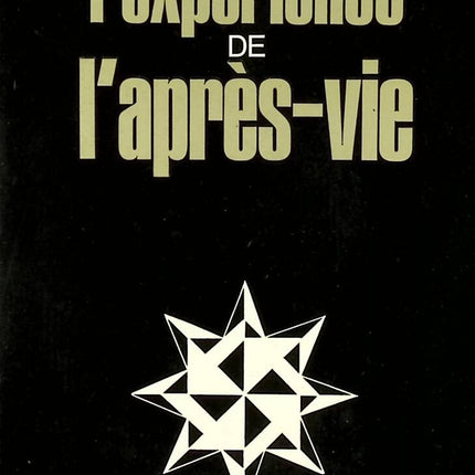The Afterlife Experience - Paul Misraki - 1974 - Buch
