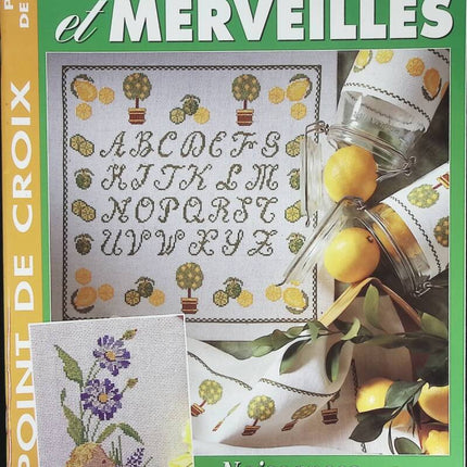 Mains et Merveilles - point de croix - 2000 - livre