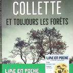 And Always the Forests - Sandrine Collette - 2022 - book