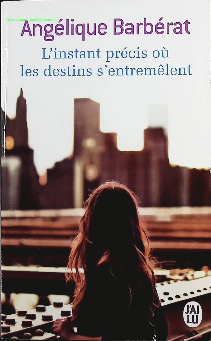 The precise moment when destinies intertwine - Angélique Barbérat - book