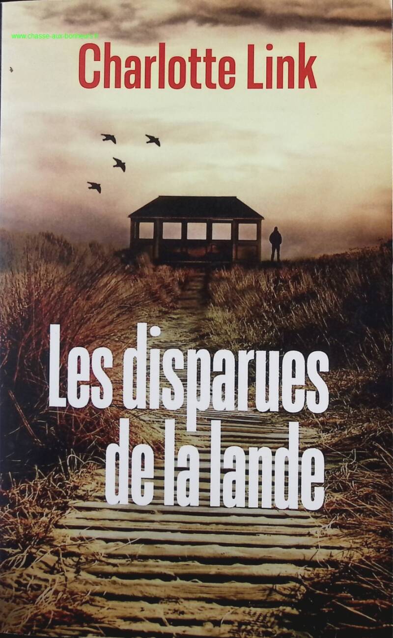 The Missing Women of the Moor - Charlotte Link - Book