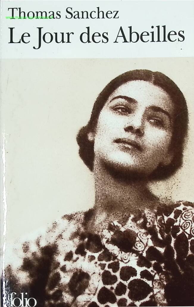 The Day of the Bees - Thomas Sanchez - book