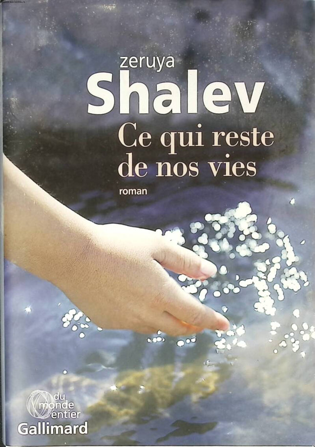 What Remains of Our Lives - Zeruya Shalev - 2014 - book