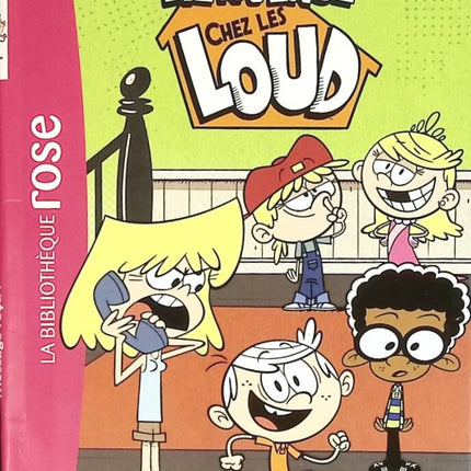 Bienvenue chez les Loud Tome 2 Message reçu – BD jeunesse humour famille nombreuse sœurs délirantes aventures scolaires - Bibliothèque Rose - Nickelodeon - livre