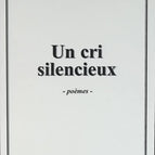 A Silent Scream - Madelaine Mansiet Berthaudi - 2001 - book