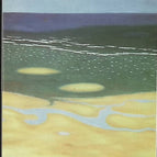 L'enfant volé - Ian McEwan - 2004 - livre