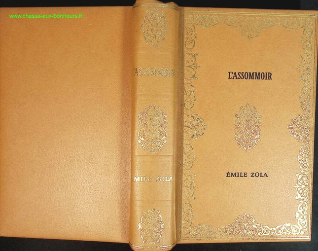 Das Assommoir – Emile Zola – Buch