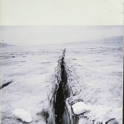 Incidences - Philippe Djian - 2011 - book