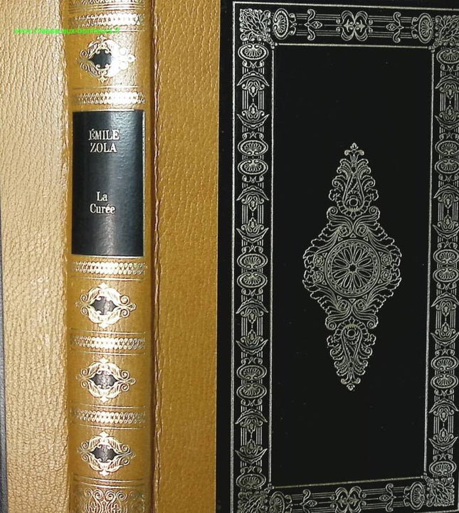Das Fest - Emile Zola - Buch