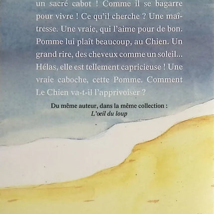 Cabot-Caboche – Daniel Pennac – Buch